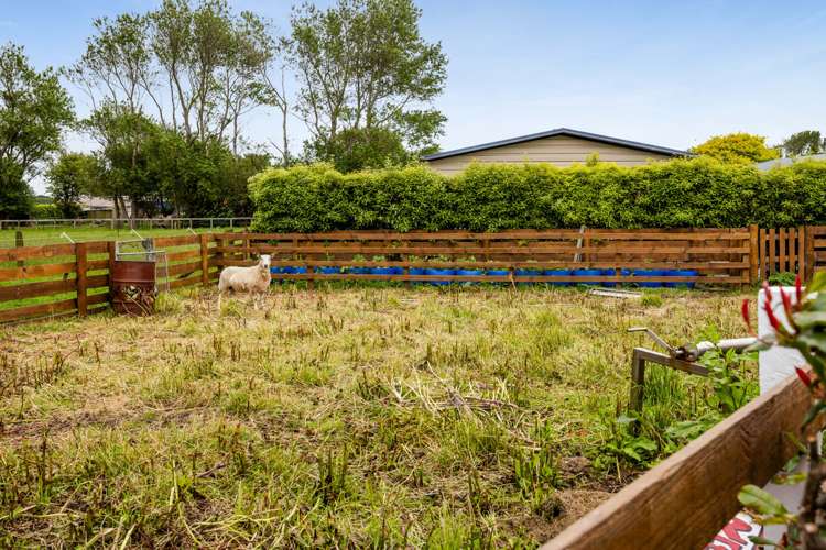 8 Von Tempsky Street Normanby_23