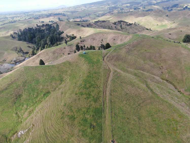 1026 Limeworks Loop Road Karamu_23