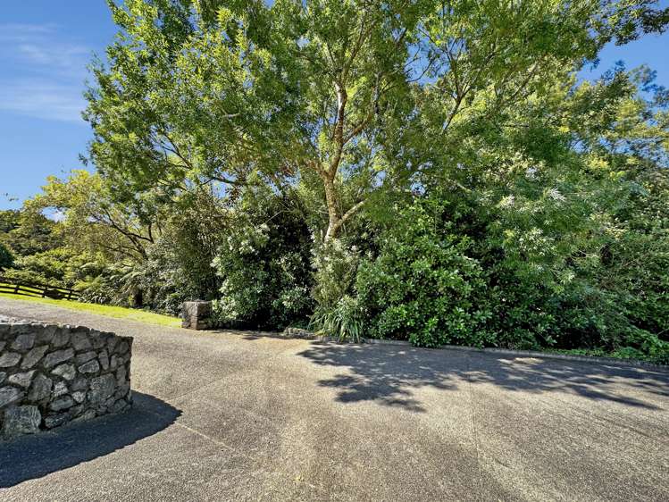 Lot 2 - 77 Blue Gum Lane Kerikeri_4