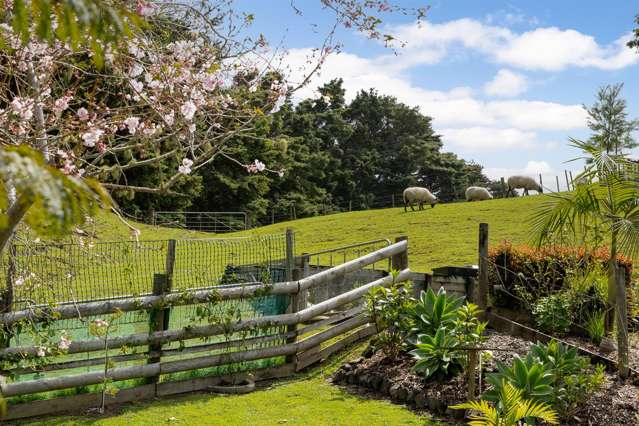 81 Taylor Road Waimauku_4