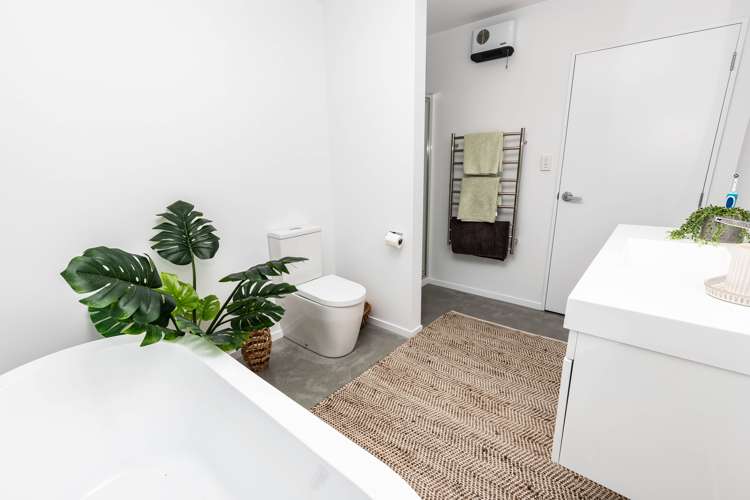 23 Pandora Avenue Camerons_14