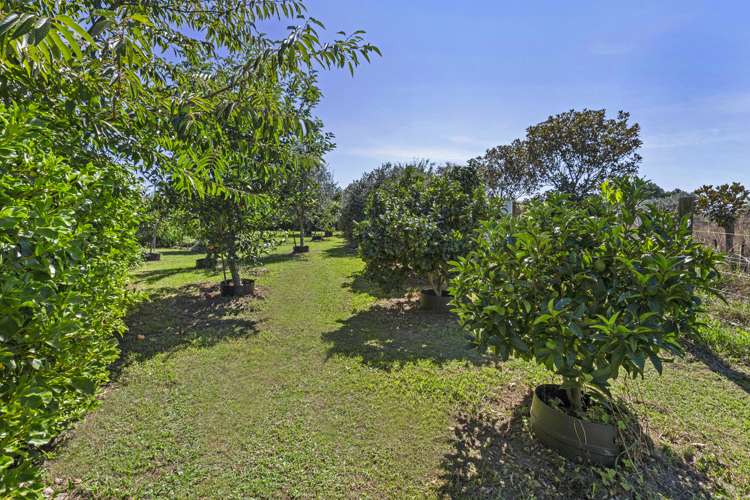 37 Hereford Drive Horsham Downs_32