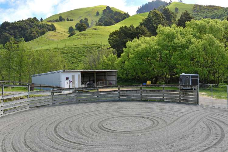 100 Garden Valley Road Brightwater_11