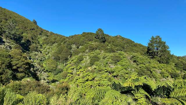 180 Totaranui Road Wainui Bay_2