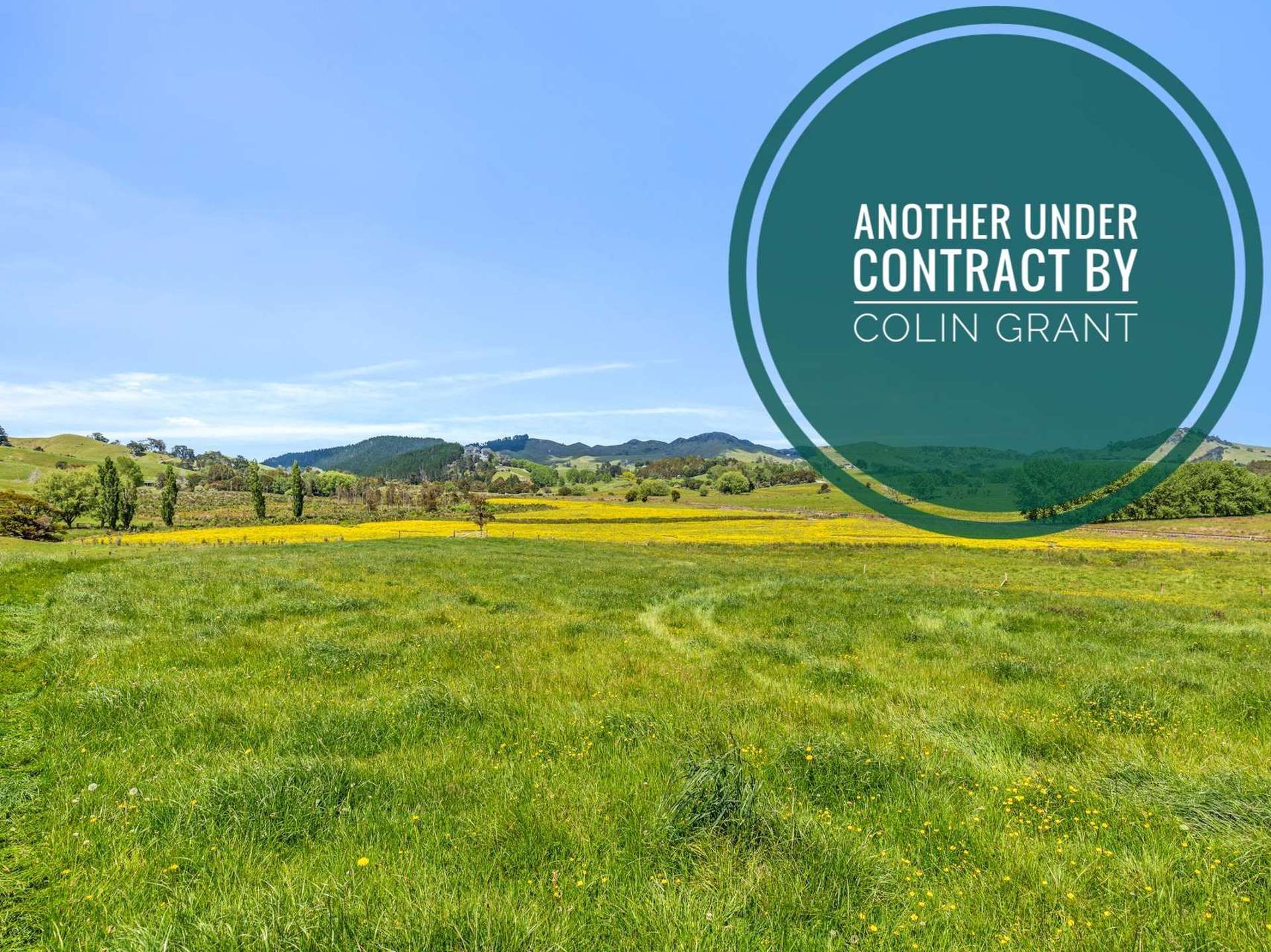 86 Wayby Station Road Lot 2 Wellsford_0