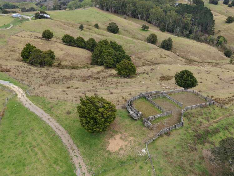 290 Hillcrest Road Waiotira_5