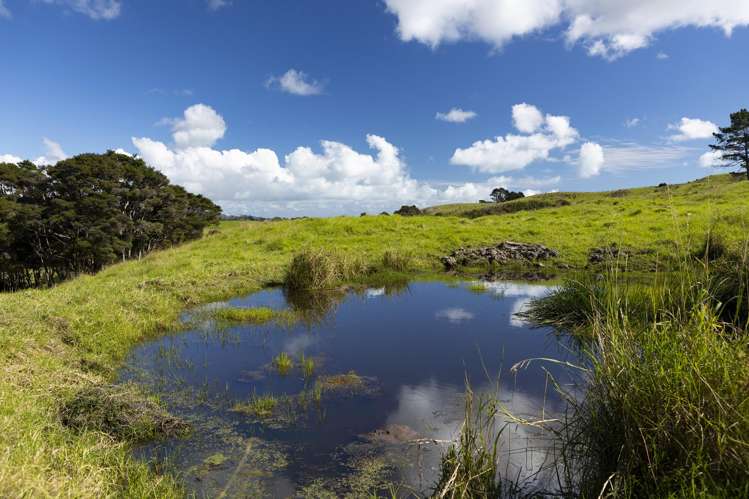 383 Okahu Road Kaitaia_46