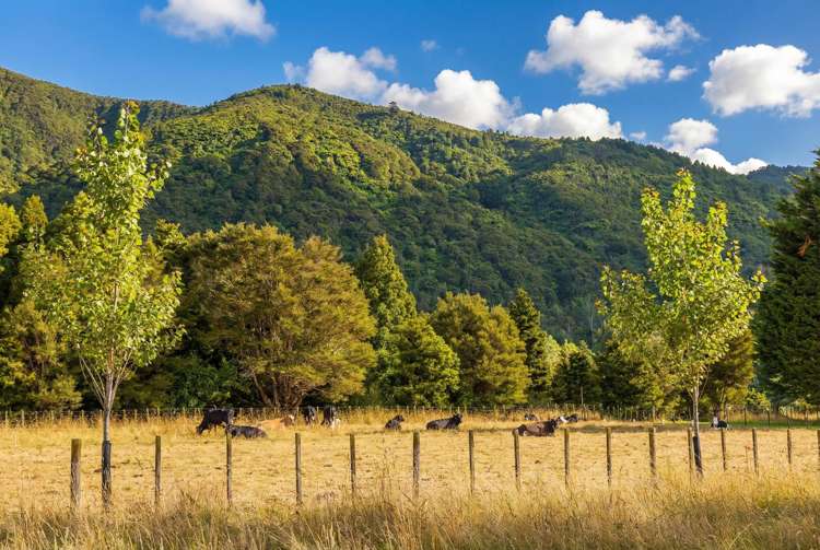 433A Waiohine Gorge Road Carterton_31