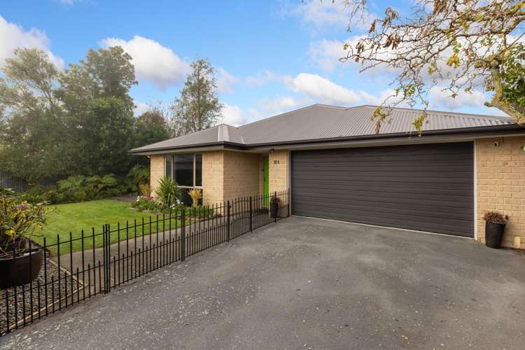 11A Mahoe Street Templeton_25