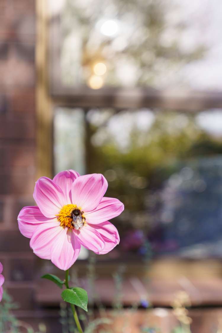 10 Shanaway Close Halswell_29