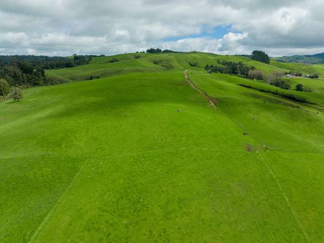 487 Pekanui Road Puketotara_1