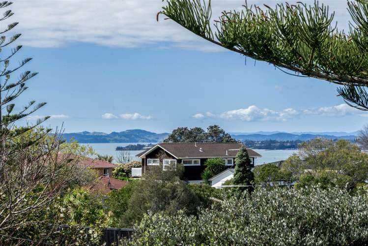 80 Alexander Street Cockle Bay_4