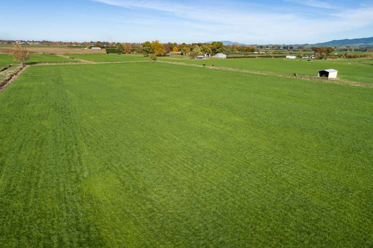 60 Pohlen Road Matamata_6