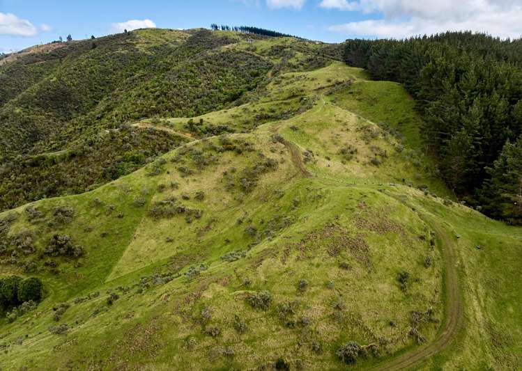 101b Bulls Run Road Moonshine Valley_23