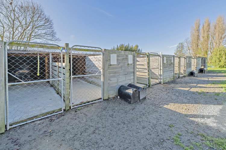 8a Manse Street Hampstead_6