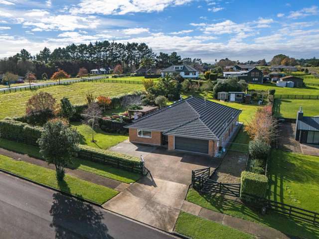 A Slice of New Zealand Paradise