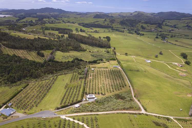 87 Leccino Valley Road Mangonui_39