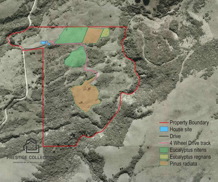 242 Waitati Valley Road Upper Waitati_29