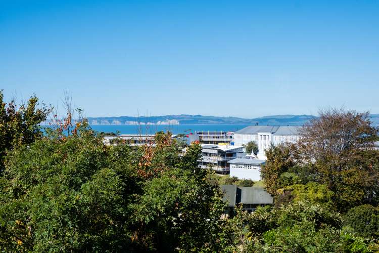 7 Cobden Lane Bluff Hill_8