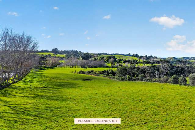 Lot 2/DP 320978 South Head Road Helensville_1