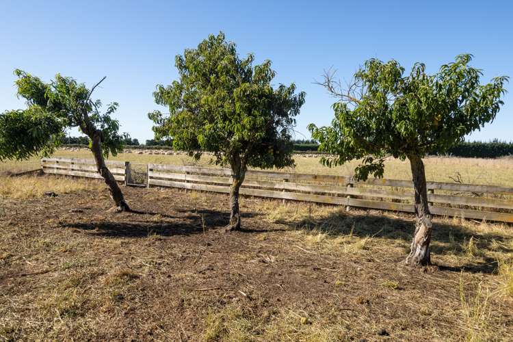 22 Taverners Road Dromore_12