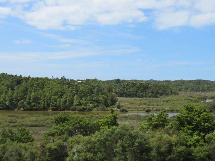 Pataua North Road Pataua_16