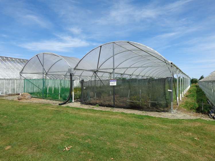 94 Thews Road Tinwald_4