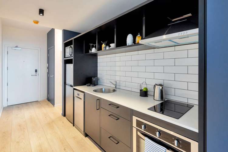 5xUnits 7 Layard Street Avondale_10