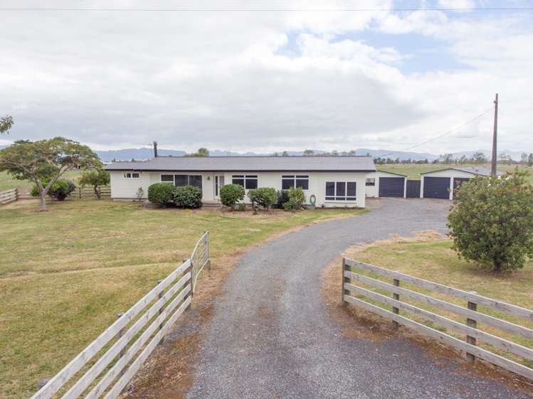 5575 State Highway 2 Kerepehi_14