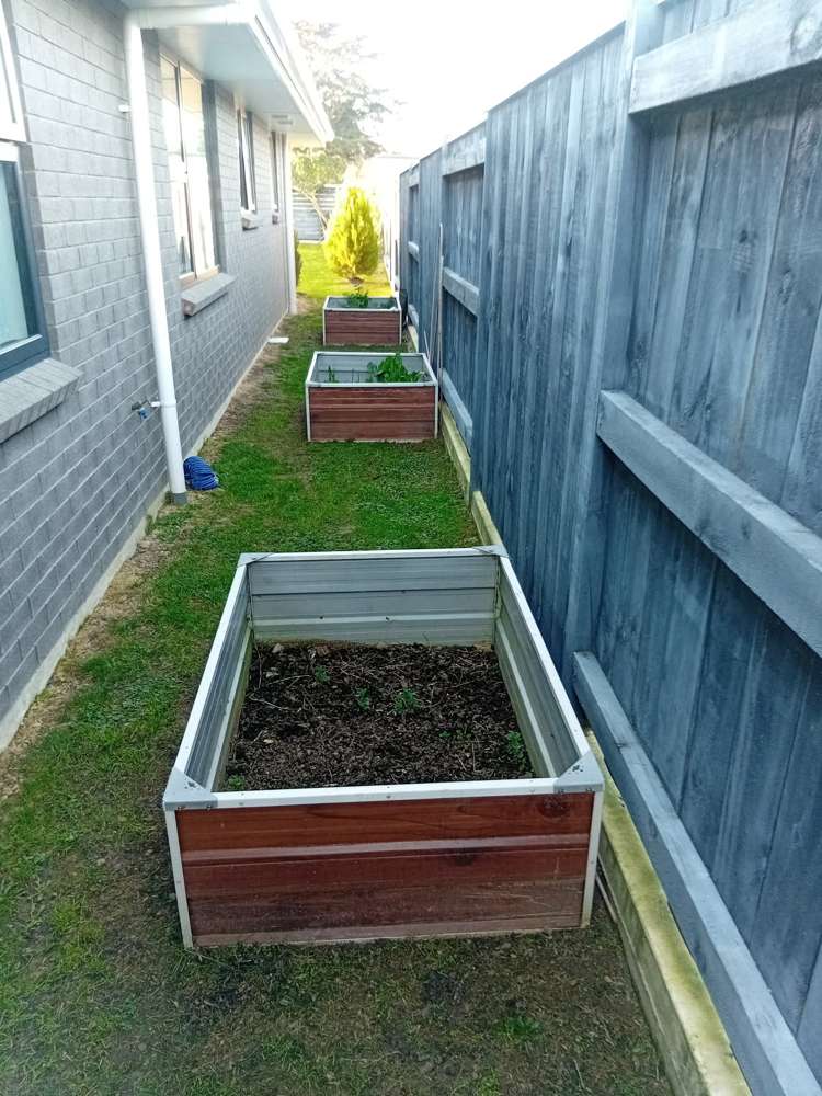 1 Monarch Drive Ashhurst_19