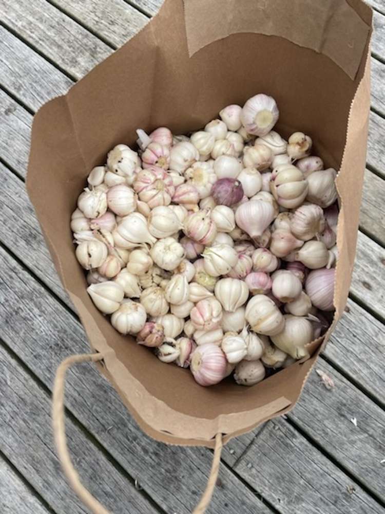 322 Ball Road Matakohe_25