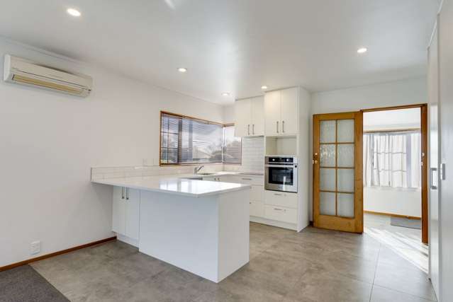 389 Nayland Road Stoke_3