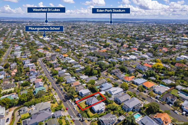 22 Watling Street Mount Eden_22