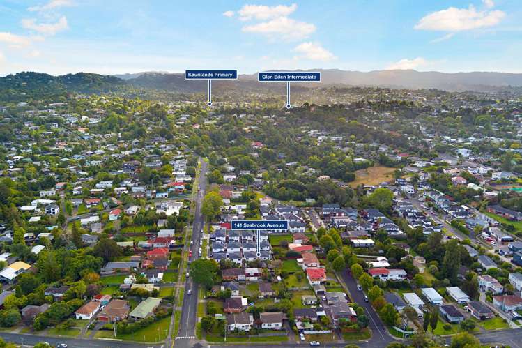 141B Seabrook Avenue New Lynn_13