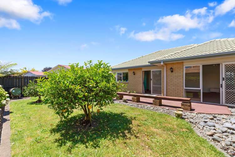 21 Lavender Place Papamoa_7