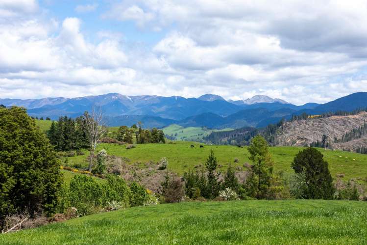 281 Tadmor Valley Road Tapawera_18