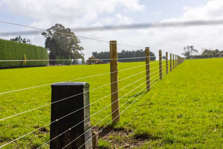 Western Line Brunswick_7