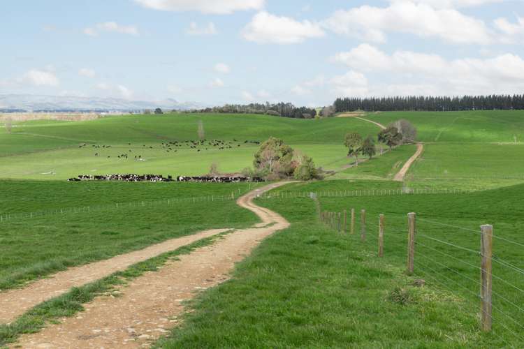 2048 State Highway 50 Ongaonga_6