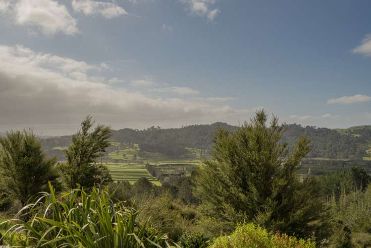 1409 Tairua-Whitianga Rd, Whenuakite Whitianga_8