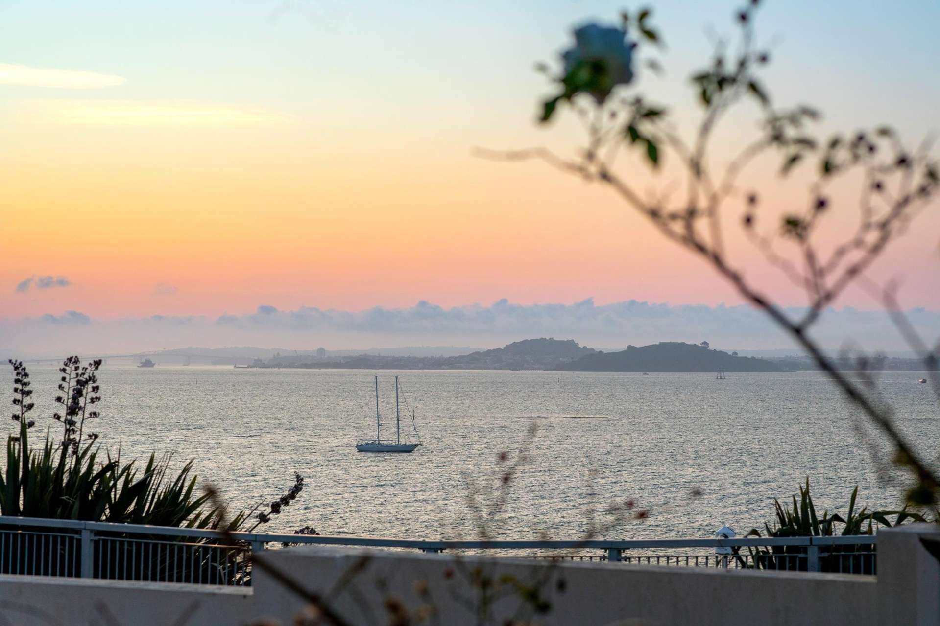 59 Cliff Road St Heliers_0