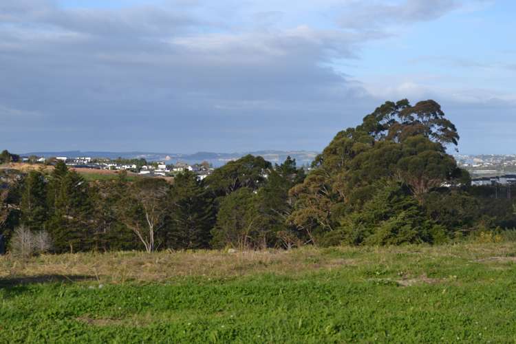 Lot 316/55 Kikorangi Drive Wainui_0