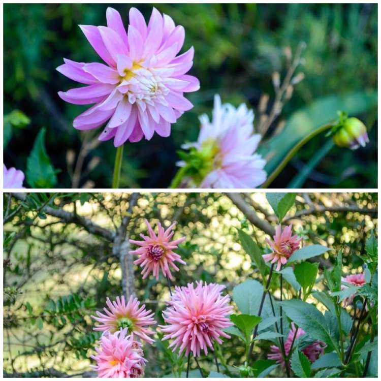 32 Roberts Road Masterton_22