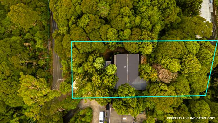 84 Mountain Road Henderson Valley_18