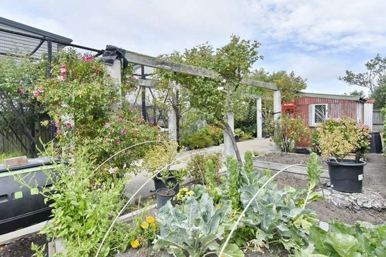 194 Chester Street East Christchurch Central_17