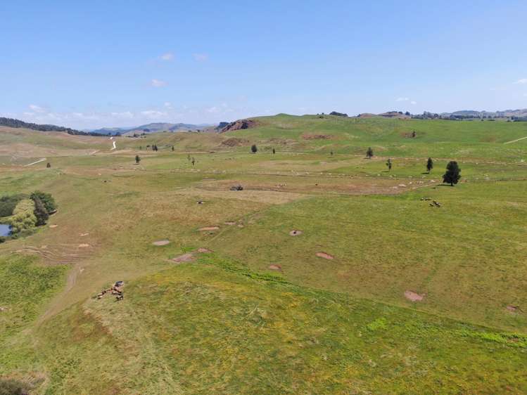 Kahuwera Road Piopio_19