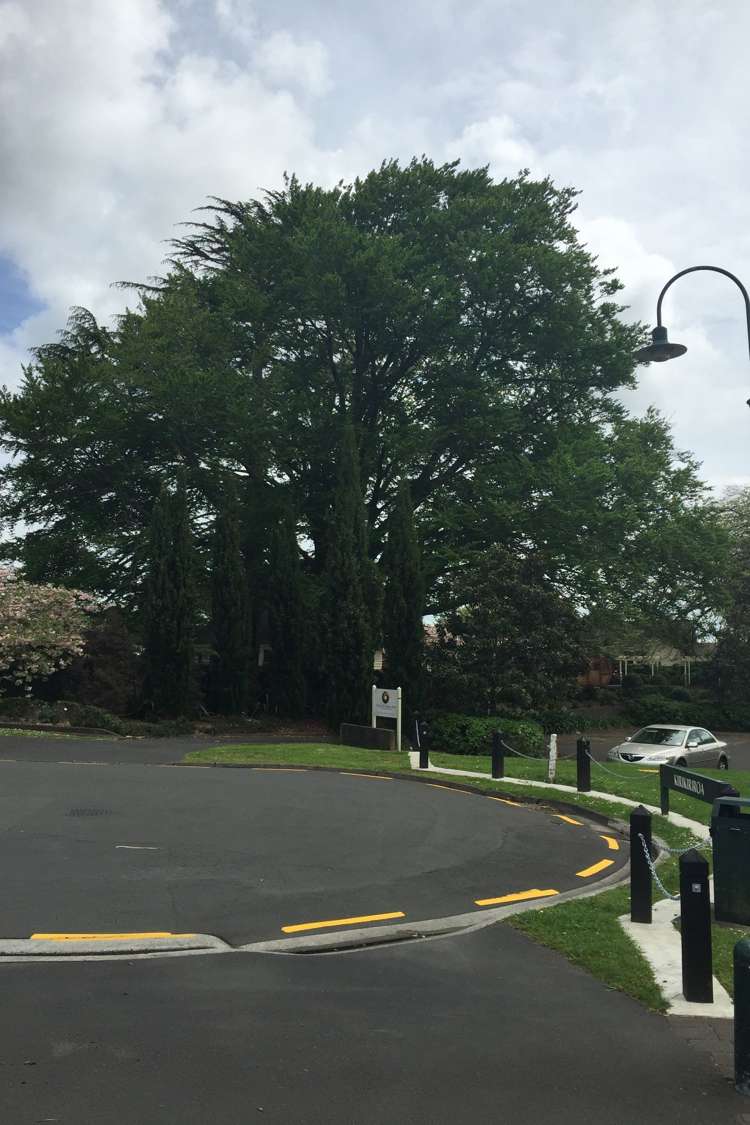 1b/11 London Street Hamilton Central_10