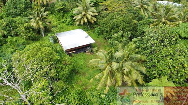 Off-Grid Potential on 5.3 Acres – Freehold Property with Fruit Trees & Fixer Upper Home