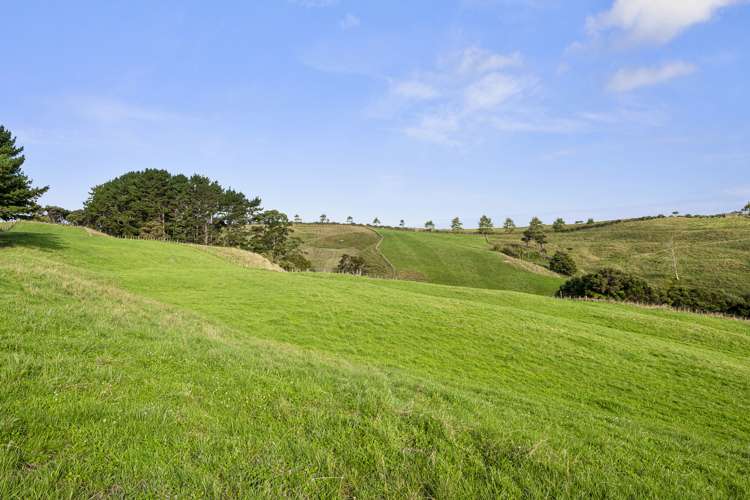 987 Peak Road Helensville_21