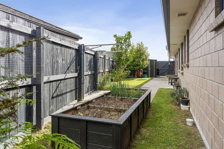 19 Tremough Boulevard Papamoa_13