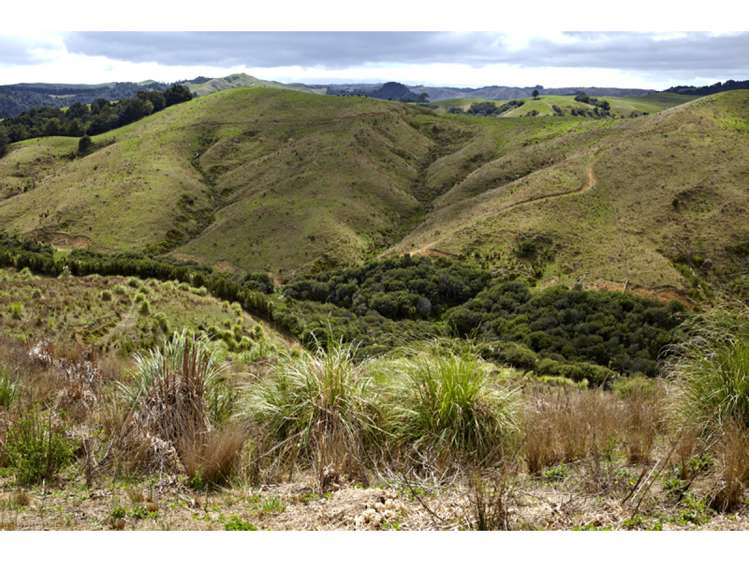 47 Haul Road Tahekeroa_9